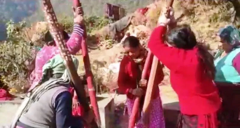 अल्मोड़ा: ग्रामीण क्षेत्रों में जीवंत है ओखल कूटने की परंपरा 