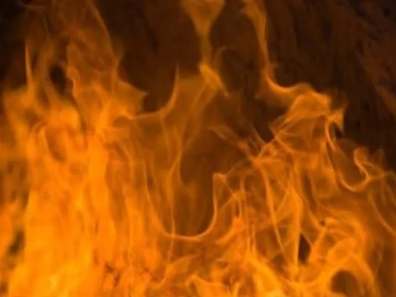 प्रयागराज में माघ मेला पंडाल में लगी आग, 5 श्रद्धालु झुलसे 