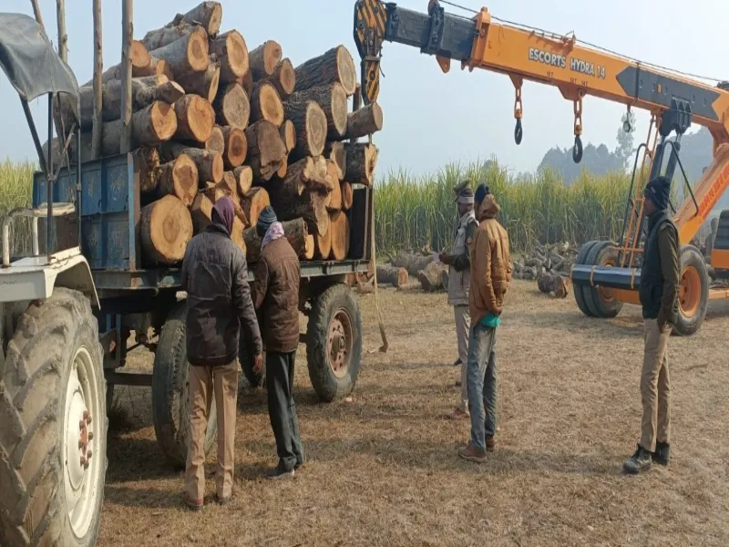 सुल्तानपुर: अवैध तरीके से काटकर जमा की गई लकड़ी पर जुर्माना, वाहन सीज