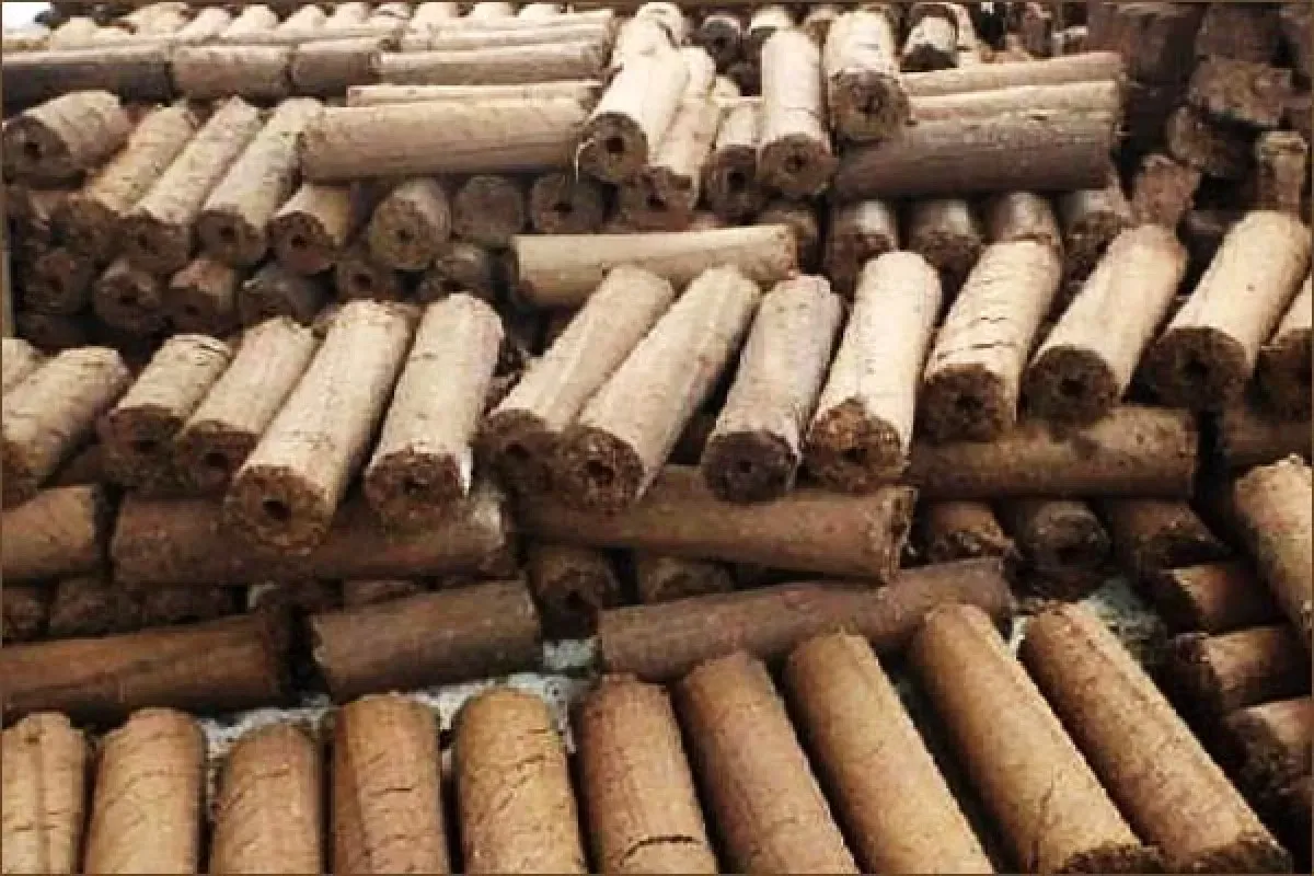 काशीपुर: शहर को स्वच्छ रखने में मददगार होगी गोबर की लकड़ी 