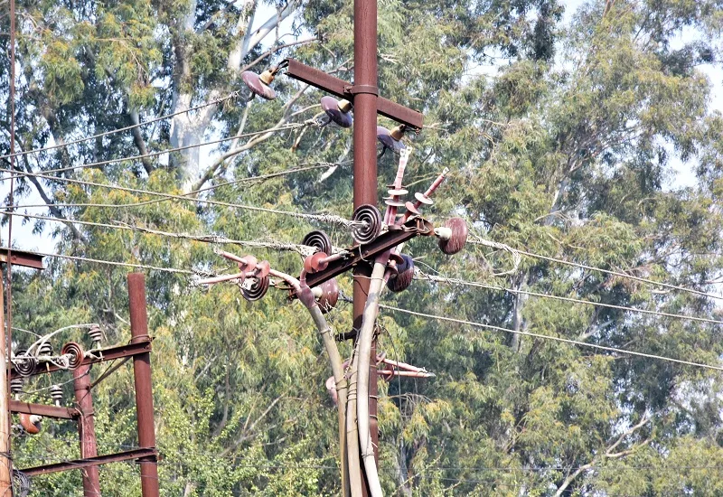मुरादाबाद : विभाग की ढिलाई से नहीं सिमट रहा तारों का जंजाल
