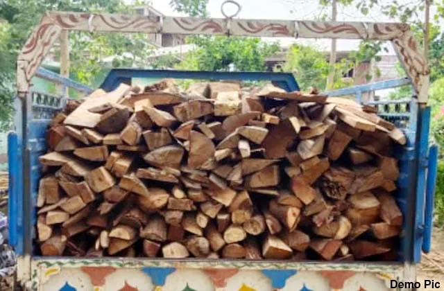 हल्द्वानी: गुजरात से लाई जा रही लाखों की विदेशी चीड़ की लकड़ी पकड़ी