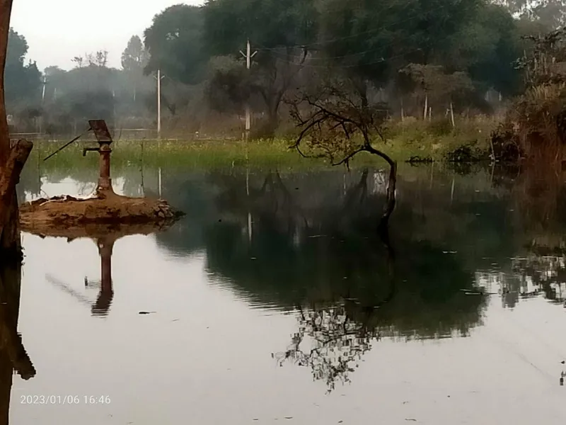 रायबरेली: नहर पटरी कटने से किसानों की कई बीघे फसल जलमग्न
