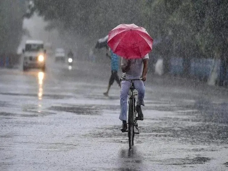 लखनऊ में हुई हल्की बारिश, ठंड कम होने का अनुमान 
