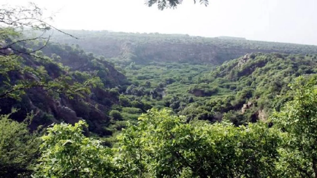 जसपुर: 32 एकड़ में विकसित होगा सिटी फॉरेस्ट 