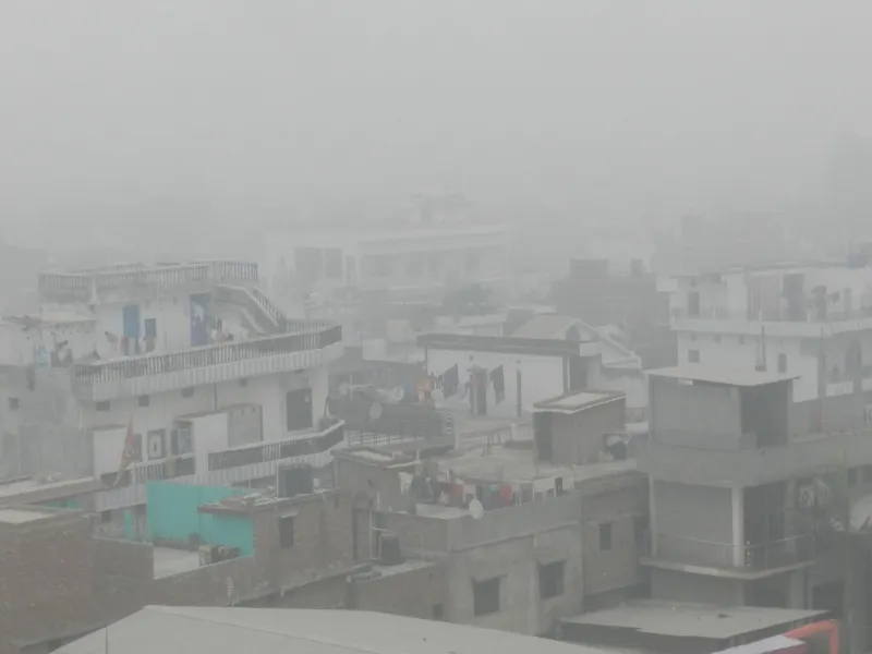 सुल्तानपुर: साल के पहले दिन कोहरे के साथ पछुआ हवा ने बढ़ाई ठंड 