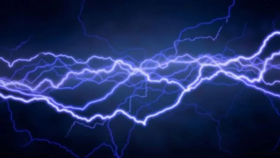 मेरठ: खेतों में तारबंदी कर छोड़ा करंट, चपेट में आए गोवंश और तीन कुत्तों की मौत, हिंदू संगठन के लोगों में रोष