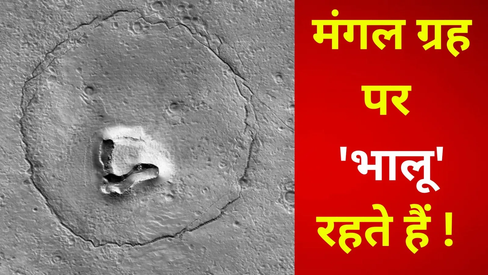 मंगल ग्रह पर 'भालू' रहते हैं क्या! तस्वीर खुद NASA ने भेजी है 