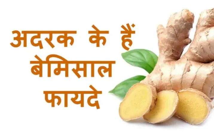 सर्दियों में अदक के सेवन से मिलेंगे कई लाभ, जानें इसके फायदे...