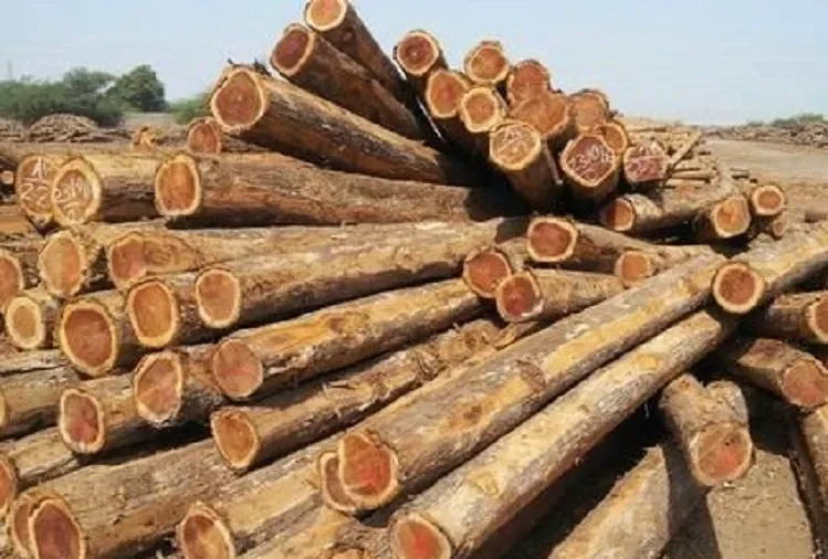 बंगाल में एक करोड़ रुपये मूल्य की सागौन की लकड़ी जब्त, दो गिरफ्तार 