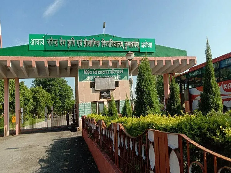 अयोध्या : कृषि विश्वविद्यालय का 24वां दीक्षांत समारोह कल, तैयारी पूरी