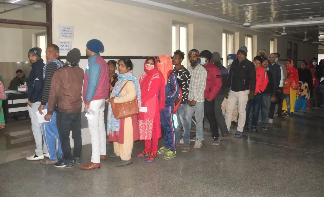 बरेली: शहर में कुत्ते-बंदरों का आतंक, एआरवी लगवाने को लगी लाइन