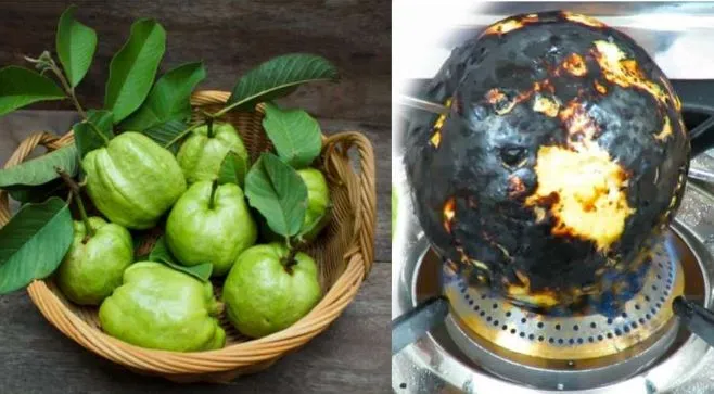 सर्दियों में भुना हुआ अमरूद इन बीमारियों के लिए है रामबाण, जानें फायदे