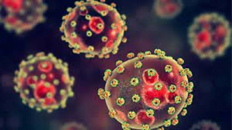 लस्सा बुखार फैलने के उच्च जोखिम में नाइजीरिया, स्वास्थ्य अधिकारी की चेतावनी