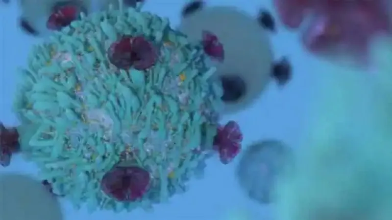 वैज्ञानिक किस तरह कैंसरजन्य रसायनों का वर्गीकरण करते हैं ? जानिए इसके पीछे का जटिल तंत्र 