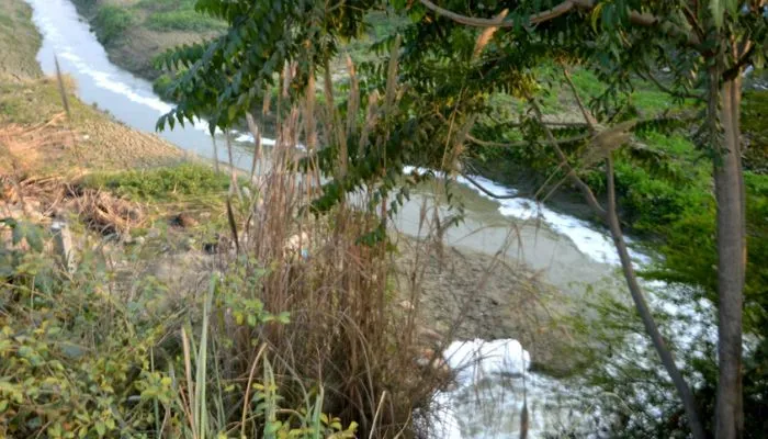 Kanpur में गंगा हो रही मैली, यह तीन वजह बन रही दूषित का मुख्य कारण