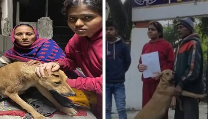 Kanpur: कुत्तों के भौंकने पर नशे में धुत दबंग ने मारी गोली, एक की मौत और दूसरा अस्पताल में जिंदगी और मौत से जूझ रहा