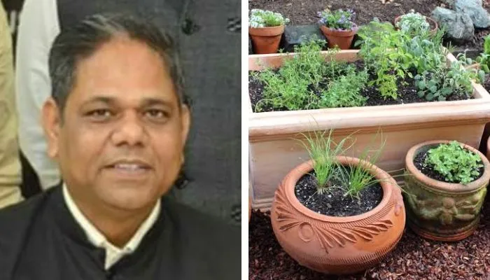 Kanpur : सेहत के फिक्रमंद लोगों के लिए FFDC बनाएगा हर्बल गार्डन, नेशनल मेडिसिनल प्लांट बोर्ड को भेजा गया प्रस्ताव