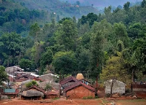 असम: लखीमपुर में 500 हेक्टेयर वन भूमि को खाली कराने के लिए चलेगा अभियान: अधिकारी