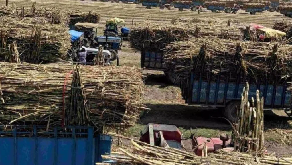 बरेली: अब तौल लिपिक की एक केंद्र पर दो बार नहीं होगी तैनाती