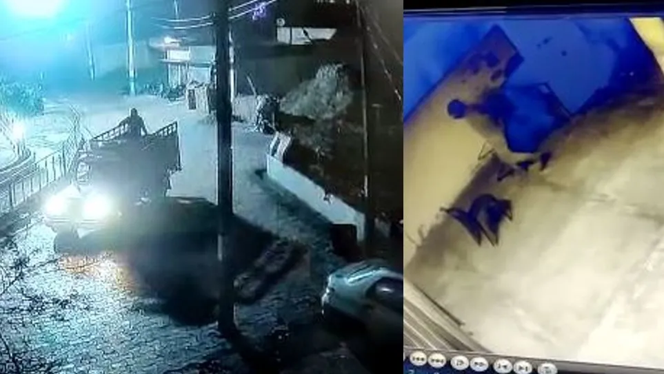 शाहजहापुर: जिपंअ की चोरी गईं दो भैसों को तलाश रही दो थानों की पुलिस, CCTV में कैद हुए चोर