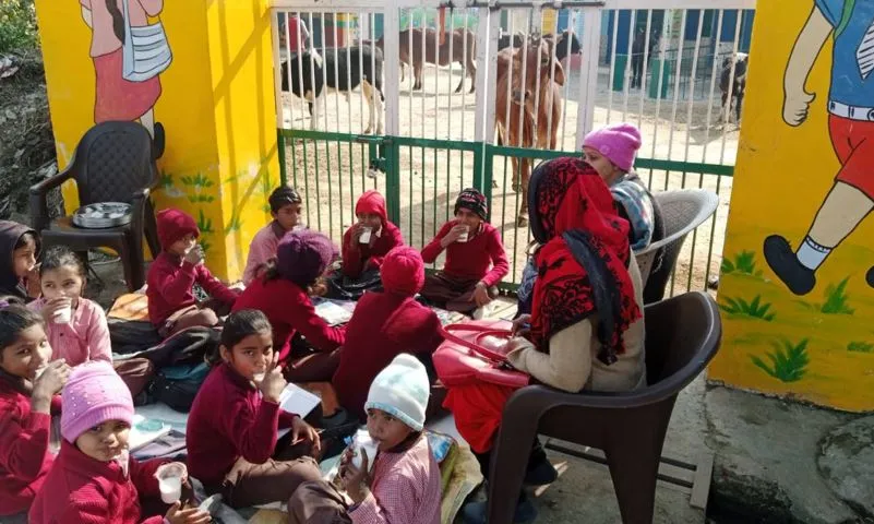 मेरठ: सरकारी स्कूल पर आवारा पशुओं का कब्जा, बाहर बैठकर पढ़ने को मजबूर बच्चे