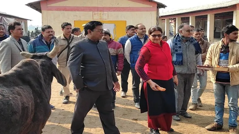 संभल: नोडल अधिकारी ने किया गोशालाओं का निरीक्षण, रजपुरा में सांडों के लिए बनेगी गोशाला