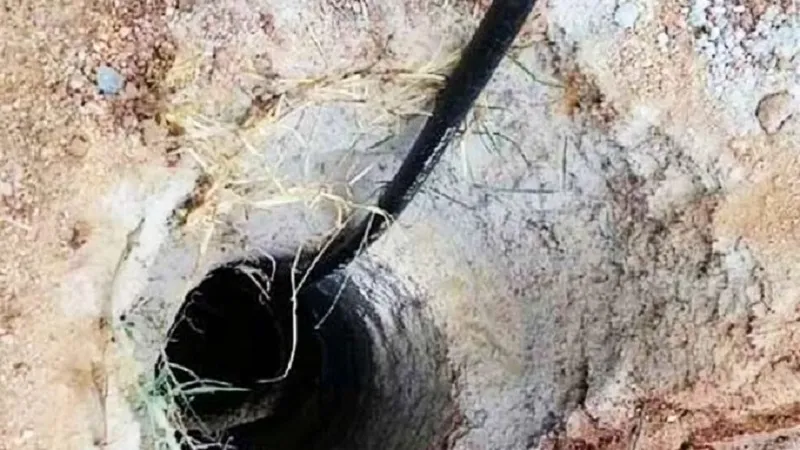 हापुड़ : बोरवेल में गिरा चार साल का बच्चा, बचाव कार्य जारी