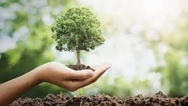 मुरादाबाद: पेड़ लगाकर आय दोगुना कर सकेंगे किसान