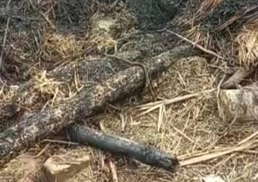 बहराइच: अग्निकांड में दो घर जले, छह मवेशियों की जलकर हुई मौत