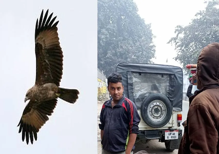 बहराइच: रेस्क्यू अभियान चलाकर वन विभाग की टीम ने बचाई चील की जान, देखें वीडियो