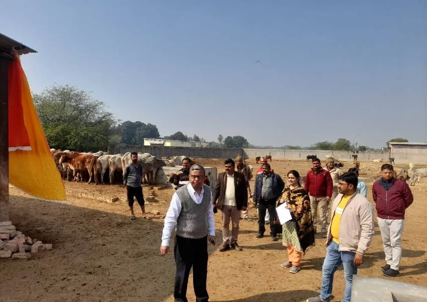 रायबरेली: विशेष सचिव के निरीक्षण में बंद मिली जिला पंचायत की गौशाला 