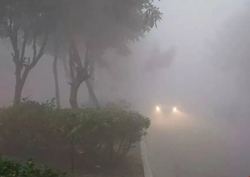 UP Weather Update: राजधानी लखनऊ समते प्रदेश के कई जिलों में छाया घना कोहरा, यलो अलर्ट जारी