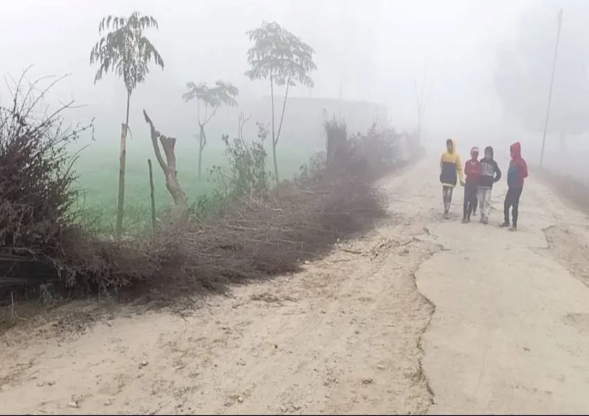 बहराइच: कारी कोट मंदिर से घर लौट रहे चित्रकार को हाथियों ने रौंद कर मार डाला