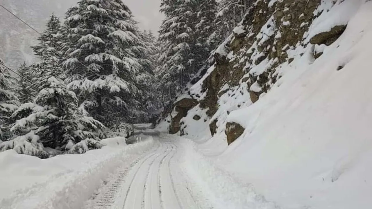 Uttarakhand in Snowfall: जोशीमठ सहित ऊंचाई वाले इलाकों में बर्फबारी- देखें VIDEO 
