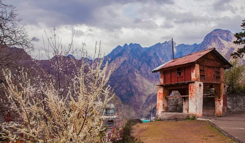 joshimath (1)