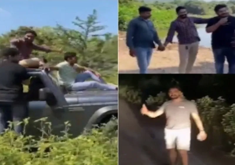 गुजरात: गिर वन्यजीव अभयारण्य में शेरों का पीछा करने और उन्हें परेशान करने के आरोप में तीन गिरफ्तार 