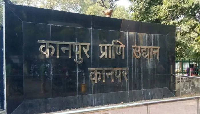 इन्फ्रारेड कवच की सुरक्षा में रहेंगे हिरन, Kanpur Zoo में बाड़ों को हीटर लगाकर ठंड से किया जा रहा सुरक्षित