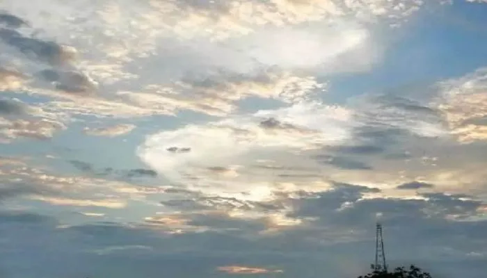 Kanpur Weather News : धूप निकलने से ठंड से मिली थोड़ी राहत, यहां चेक करें- एक सप्ताह का तापमान