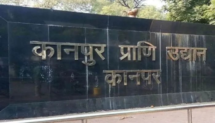 Kanpur : सूखे पत्तों से छिपाई गई थी तिजोरी, चिड़ियाघर के लकड़ी के पुल के नीचे से बरामद