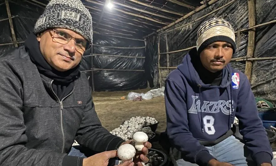 बरेली: मशरूम की खेती कर किसानों के लिए प्रेरणा बने लालबहादुर