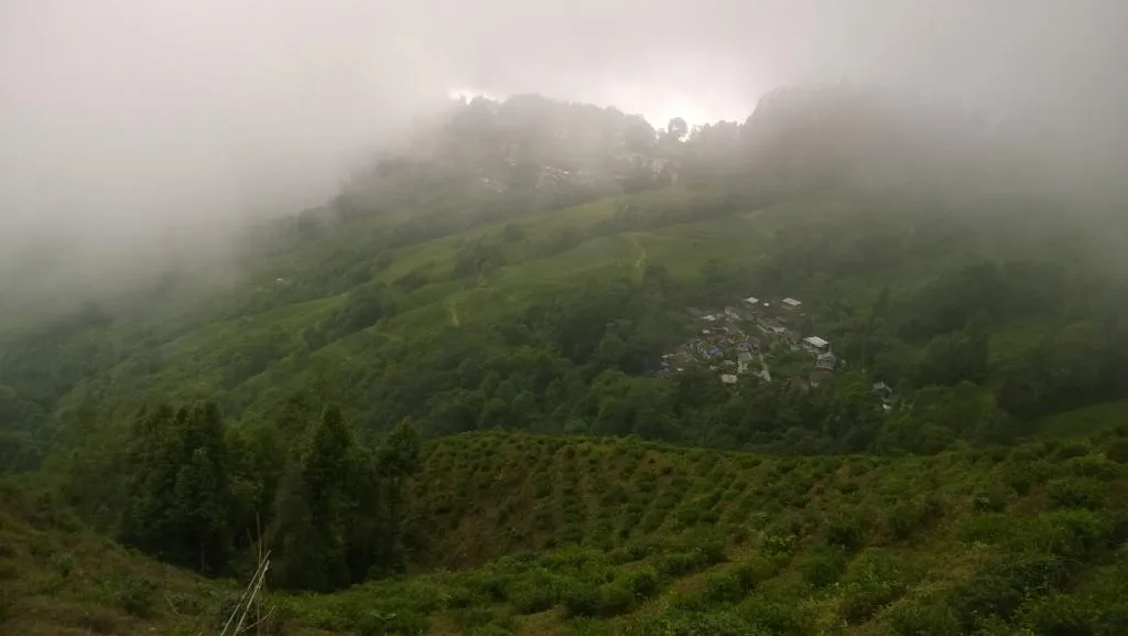कोहरे की चादर में लिपटा केरल का मुन्नार घूमने के शौकीनों को लुभा रहा