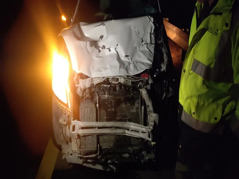 सुलतानपुर : पूर्वांचल एक्सप्रेसवे पर सांड़ से टकराई कार, सांड़ की मौत 