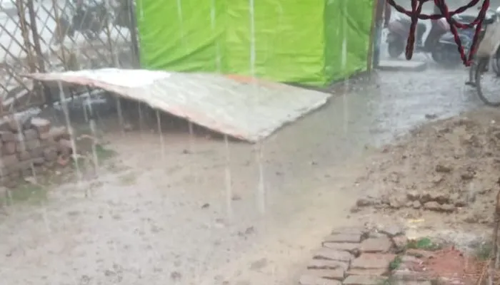 Rain