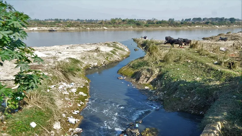 मुरादाबाद : तारणहार ही महानगर में कर रहे हैं अपनी रामगंगा मैली
