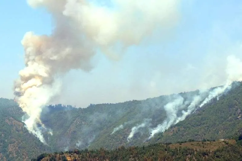 शिमला: प्राकृतिक आपदा में मृत्यु के मामला, वित्तीय सहायता 24 घंटे में जारी करने का आदेश