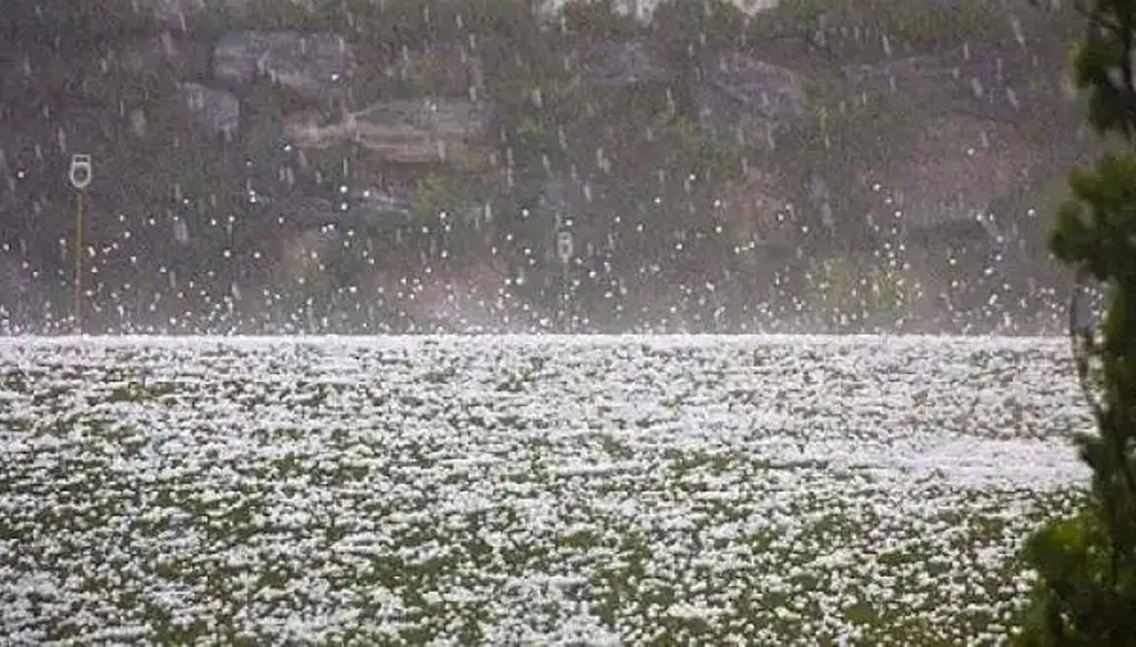 बरेली: तेज बारिश और ओलावृष्टि से फसलों को हुआ नुकसान