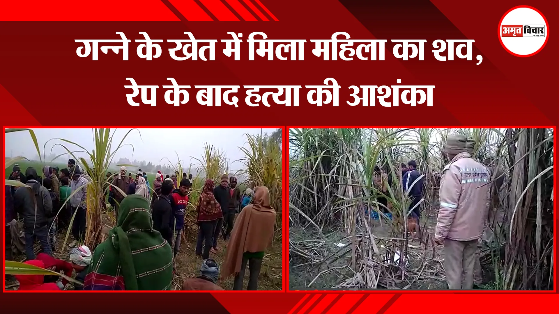 बरेली: गन्ने के खेत में मिला महिला का शव, रेप के बाद हत्या की आशंका