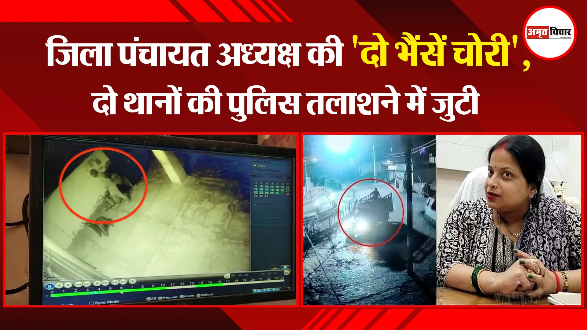 शाहजहांपुर: जिला पंचायत अध्यक्ष की 'दो भैंसें चोरी', दो थानों की पुलिस तलाशने में जुटी