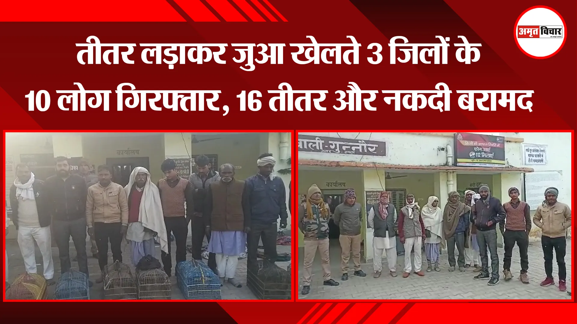 संभल: तीतर लड़ाकर जुआ खेलते 3 जिलों के 10 लोग गिरफ्तार, 16 तीतर और नकदी बरामद